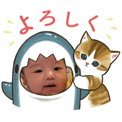 [LINEスタンプ] かわいいお月様