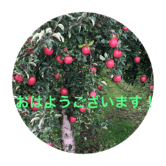 [LINEスタンプ] 東北の秋
