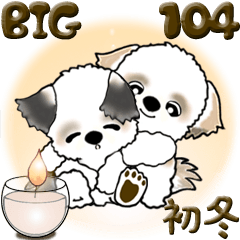 [LINEスタンプ] 【Big】シーズー犬 104『初冬』