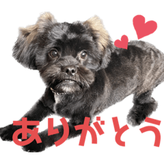 [LINEスタンプ] 福ちゃんのスタンプ2
