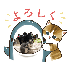 [LINEスタンプ] 猫は気まま2