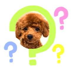 [LINEスタンプ] テディベアカット H31.2.21