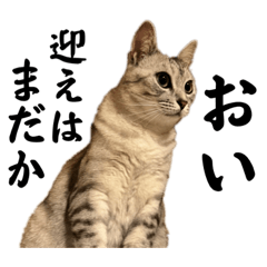 [LINEスタンプ] むぎたんゆきたん4