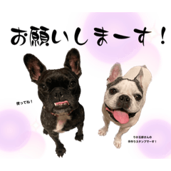 [LINEスタンプ] 日常で使える福＆豆スタンプvol.4