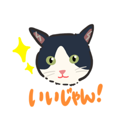 [LINEスタンプ] 豊橋在住三河弁ねこ