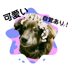 [LINEスタンプ] おコトさん7