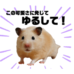 [LINEスタンプ] キンクマハムスターのごんたの画像（メイン）