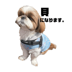 [LINEスタンプ] 空気食う犬