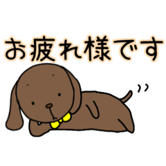 [LINEスタンプ] 犬 日常で使えるスタンプ