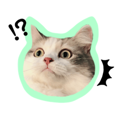 [LINEスタンプ] 顔だけもかたん