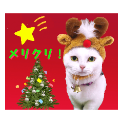 [LINEスタンプ] メリークリスマス！短足だってイイじゃん！