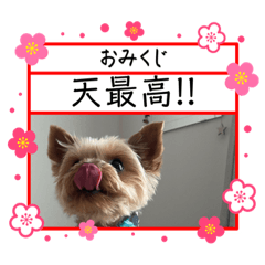 [LINEスタンプ] 福福スタンプ☻