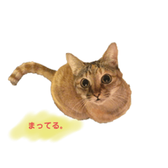 [LINEスタンプ] まいにち めいめいの画像（メイン）