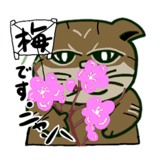 [LINEスタンプ] 猫の"うた"。と申します