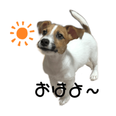 [LINEスタンプ] 【犬の日】ジャックの子犬ちぃ