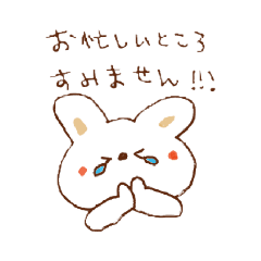 [LINEスタンプ] ずっと使える可愛い白うさぎ