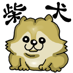 [LINEスタンプ] まったり柴犬