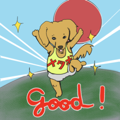 [LINEスタンプ] NO DOGS NO LIFE 4-5-6