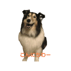 [LINEスタンプ] 鈴木 大須賀