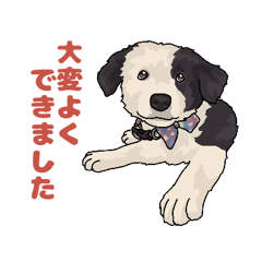 [LINEスタンプ] ボーダーコリー1