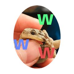 [LINEスタンプ] 愉快な生き物達！3