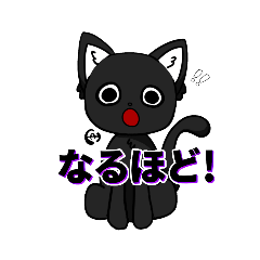 [LINEスタンプ] かわいい黒猫【日常会話】