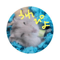 [LINEスタンプ] ぺんたんハムハム