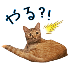 [LINEスタンプ] おりめい (ゲーマー用)の画像（メイン）