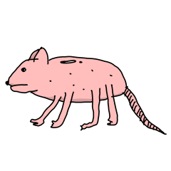 [LINEスタンプ] 皮膚病モデルラットと仲間たち