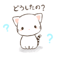 [LINEスタンプ] しましましっぽの白猫スタンプ。