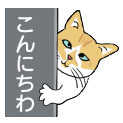 [LINEスタンプ] 家の猫さんに似た子がいるかな？