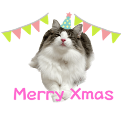 [LINEスタンプ] ジーナとルーシーのクリスマス