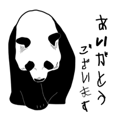 [LINEスタンプ] ぱんだくみちょー②