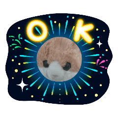 [LINEスタンプ] みんな専用❣️