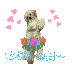 [LINEスタンプ] 愛ゆえにver.3