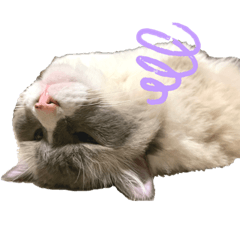 [LINEスタンプ] うめきち時々ぷるこ