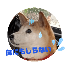 [LINEスタンプ] さくらと一緒 6