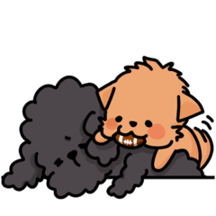 [LINEスタンプ] みっくすわんこ