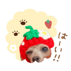 [LINEスタンプ] 苺ちゃん＊スタンプ