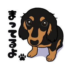 [LINEスタンプ] ☆ダックスフンドスタンプ☆