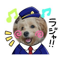 [LINEスタンプ] わんこLIFEdog
