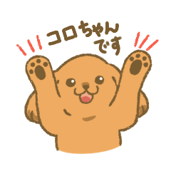 [LINEスタンプ] まいにちつかえるトイプードルのコロちゃん