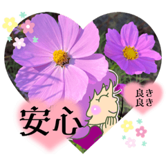 [LINEスタンプ] ナチュラルで可愛い♡日常便利なスタンプ