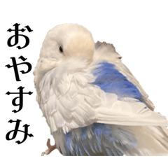 [LINEスタンプ] 使えるインコ