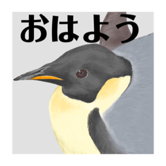 [LINEスタンプ] 神在月のペンギンスタンプ15