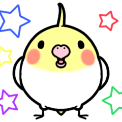 [LINEスタンプ] オカメインコのちきんちゃん☆2