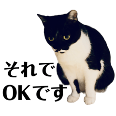 [LINEスタンプ] シヒタンとハナ6