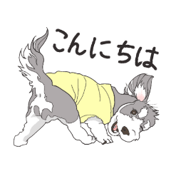 [LINEスタンプ] もっこーの詰め合わせ