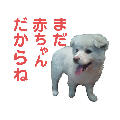 [LINEスタンプ] かなりぽてと