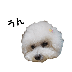 [LINEスタンプ] みるしょこぽん5
